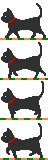 CatWalk